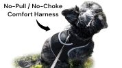 Mini GSM GPS Dog Tracking Systems with Alarm for Pet Wireless Security Size:M