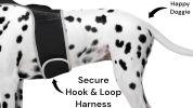 Wireless GPS Tracking Collars for Hunting Dogs Realtime Tracking Tool Size:XL